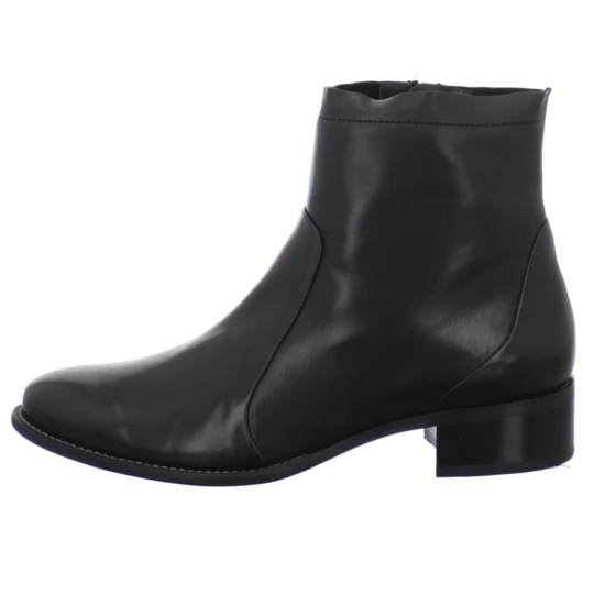 Paul Green 8063 4 Paul Green 8063 – Bild 2