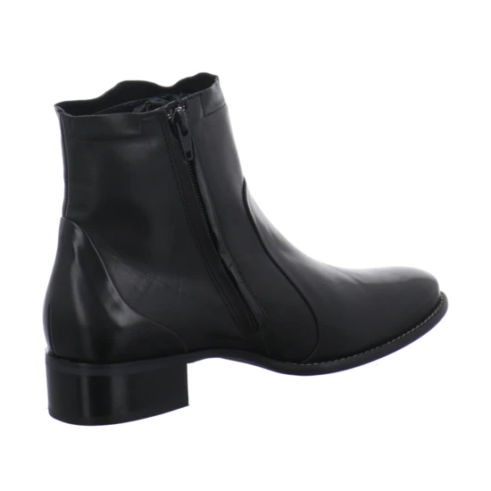 Paul Green 8063 7 Paul Green 8063 – Bild 5