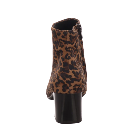 Paul Green 9609 6 Paul Green 9609 – Bild 4