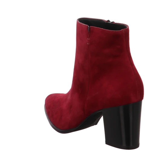 Paul Green 9623 5 Paul Green 9623 – Bild 3