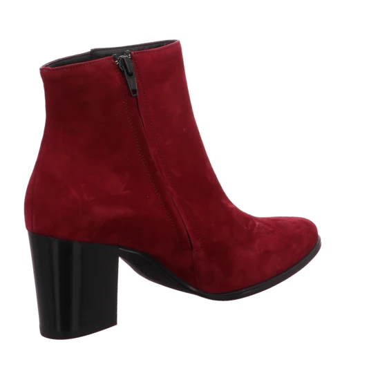 Paul Green 9623 7 Paul Green 9623 – Bild 5